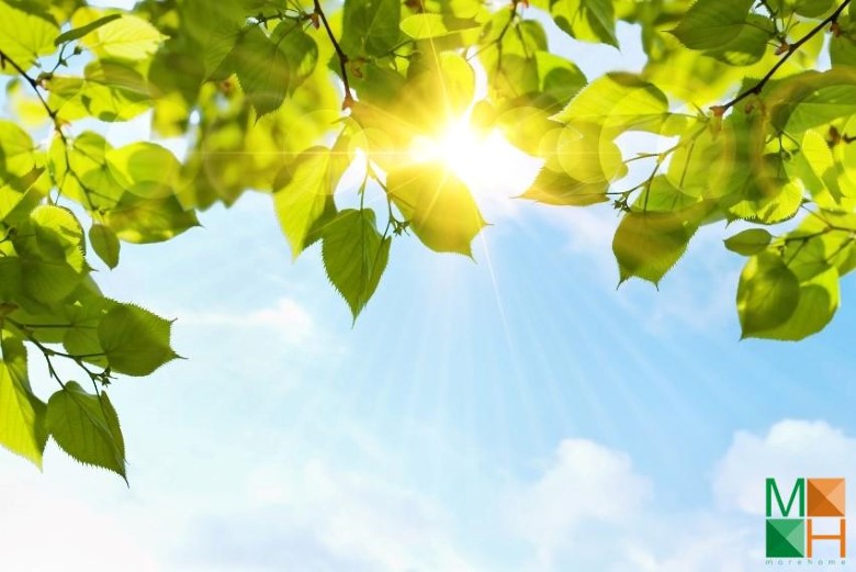 Tranh dán tường Hàn Quốc 3d khổ lớn tại Hà Nội NA - 070